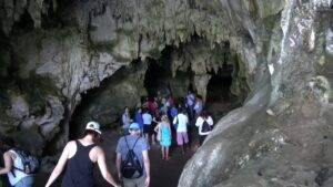 Aux prix locaux tours, Excursion de parc national de Los Haitises.
